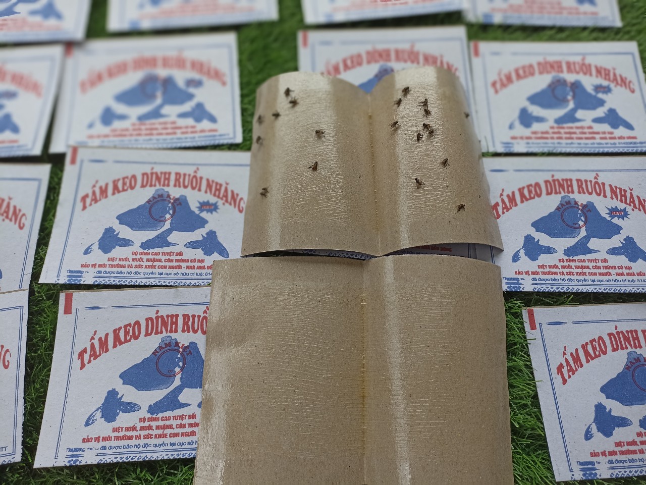 100 Miếng keo dính ruồi nhặng Nam Kiệt