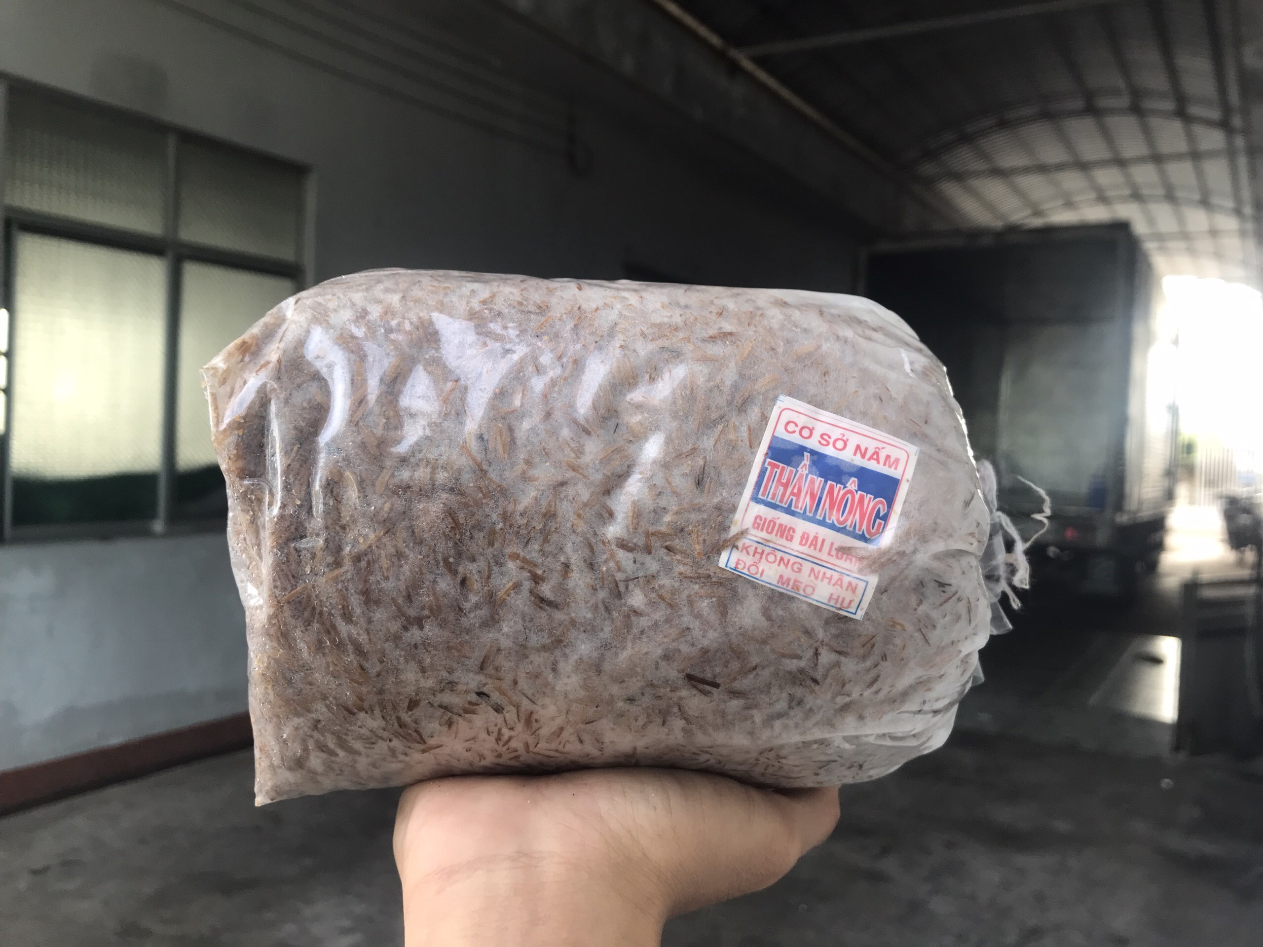 Combo 5 Meo Nấm Rơm Thần Nông (550g)