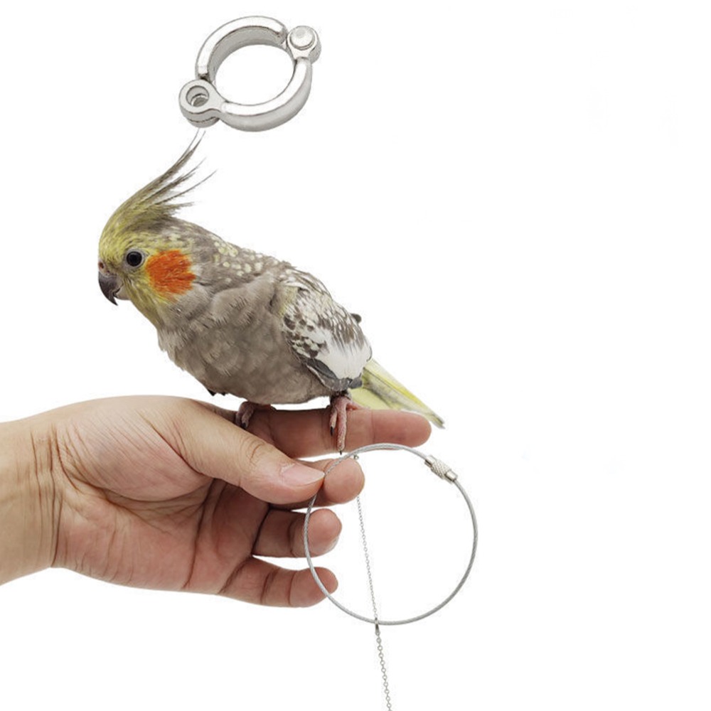 Bird Chain Flying Training Starling Outdoor with Swivel Buckle Pigeon Bird ...