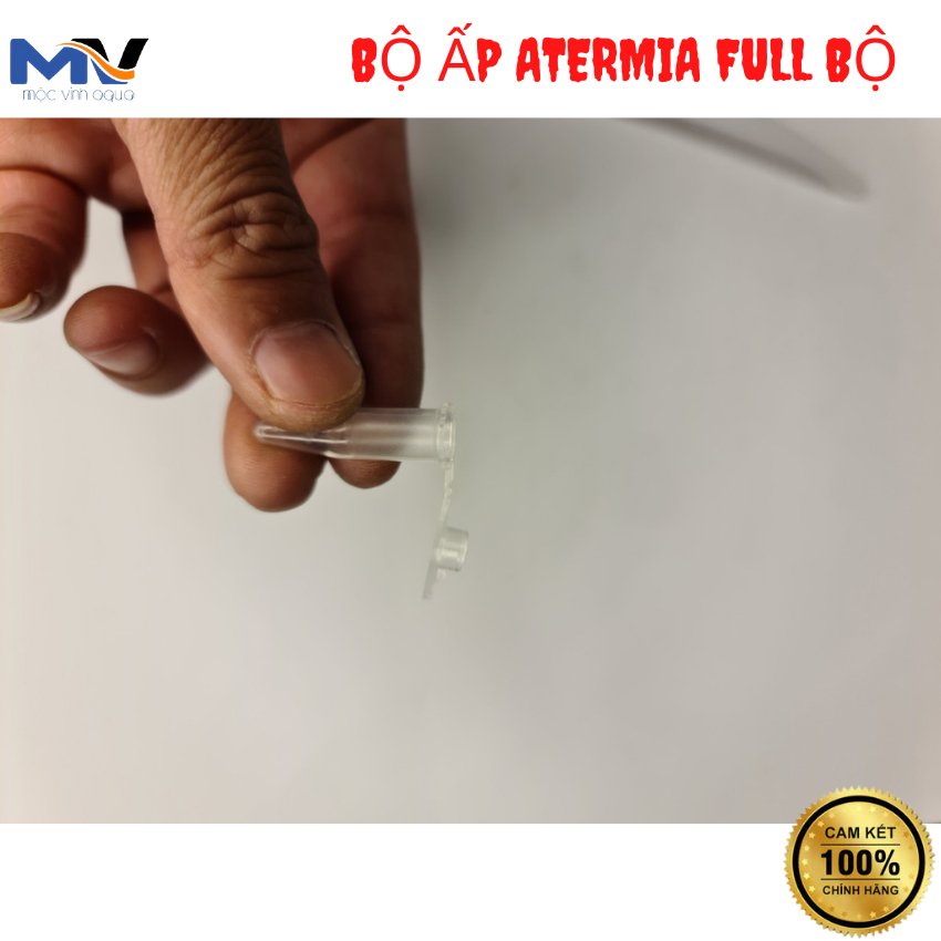 Bộ dụng cụ ấp artemia đầy đủ