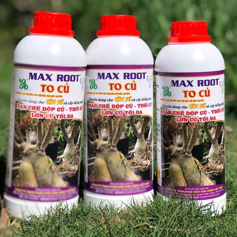Max root - To Củ Sứ