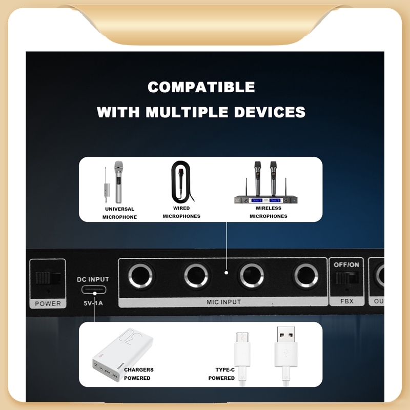 Feedback Suppressor for Wireless/Wired Microphones - Anti-Howling Feedback Controller