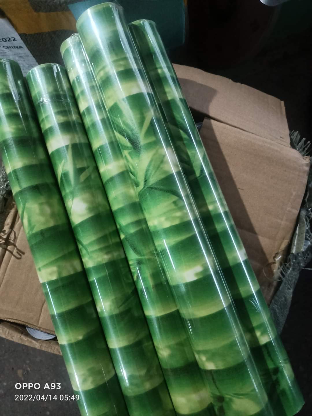 Giấy dán tường hình cây tre trúc đậm