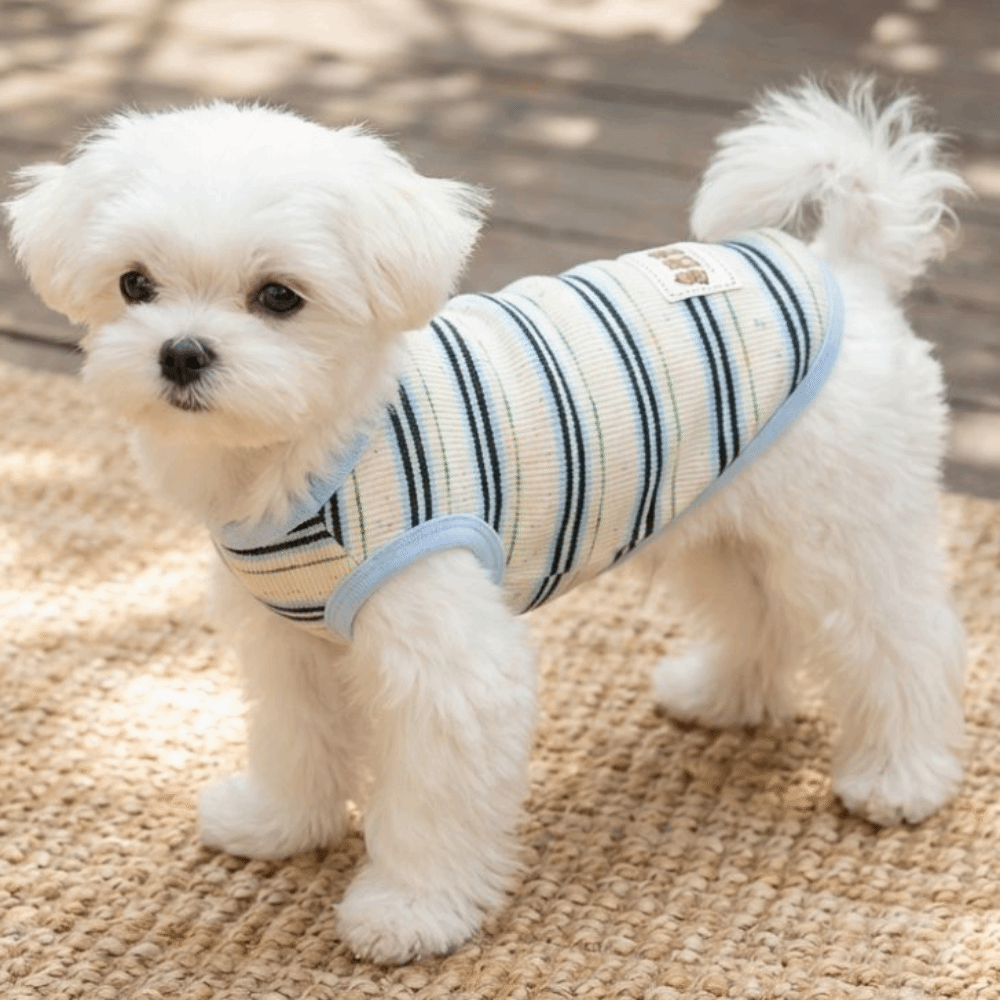 Bear%20Pattern%20Round%20Neck%20Dog%20Cooling%20Vest%20Comfortable%20Thin%20Soft%20Pet%20Pullover%20Cool%20Sun%20Protection%20Summer%20Dog%20Clothes%20Puppies%20Cat%20-%20Image%205