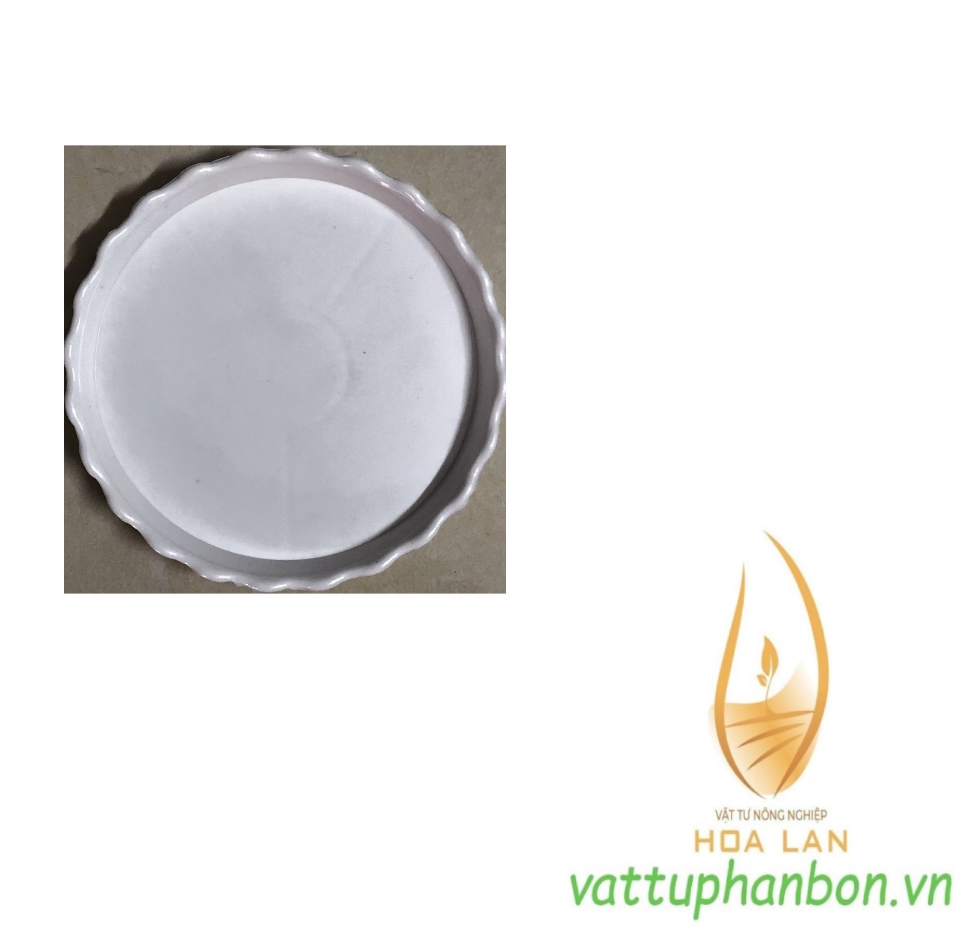Đĩa lót chậu tròn khía phi 8,5cm - #041c#