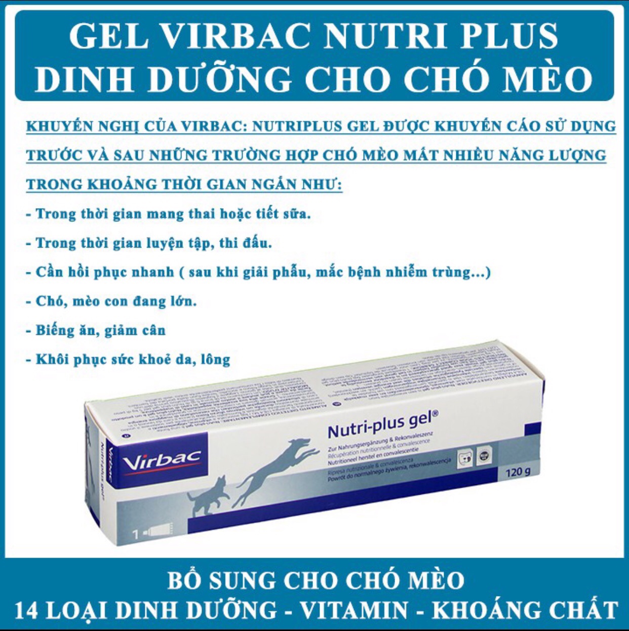 Gel Dinh Dưỡng Virbac Nutri-Plus Cho Chó Mèo