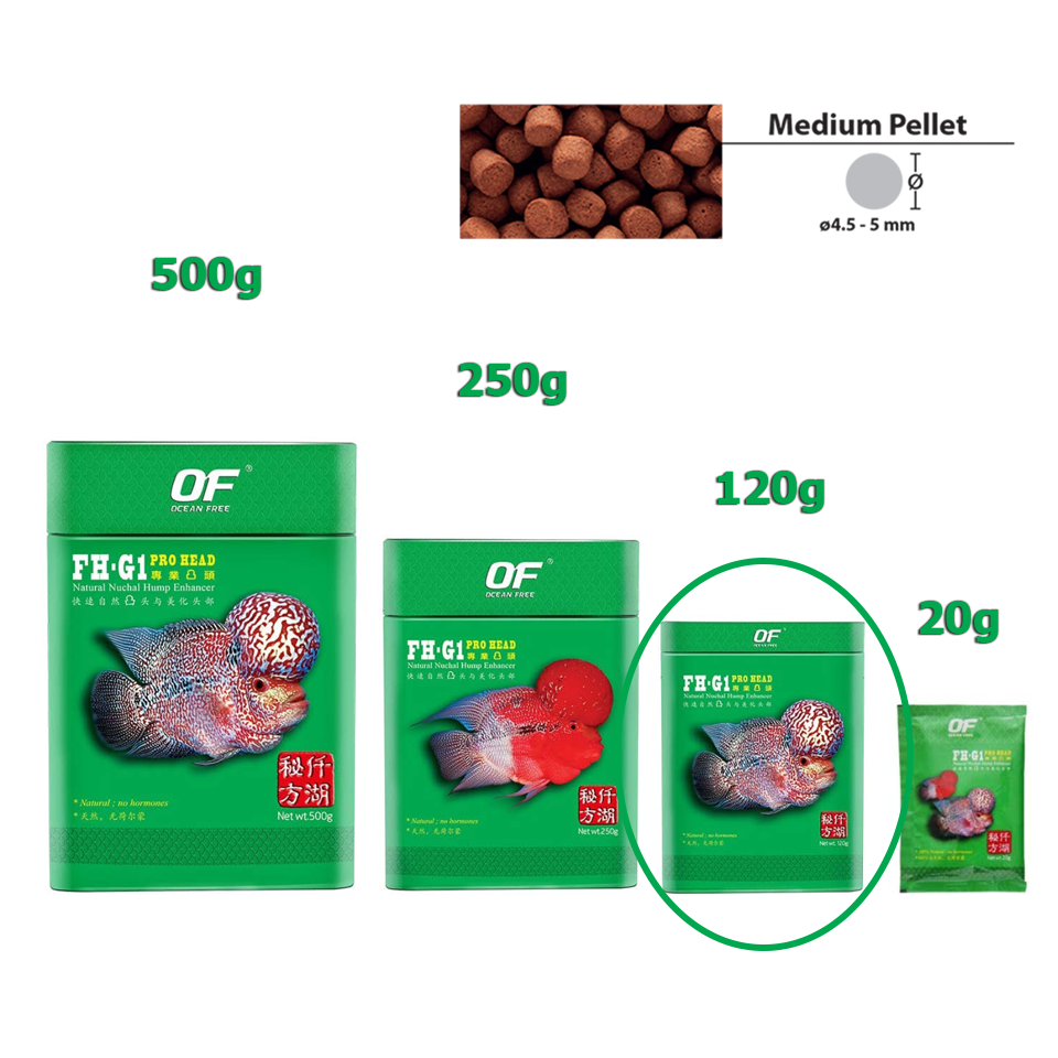 Fh-g1 pro head thức ăn cao cấp lên đầu cho cá la hán