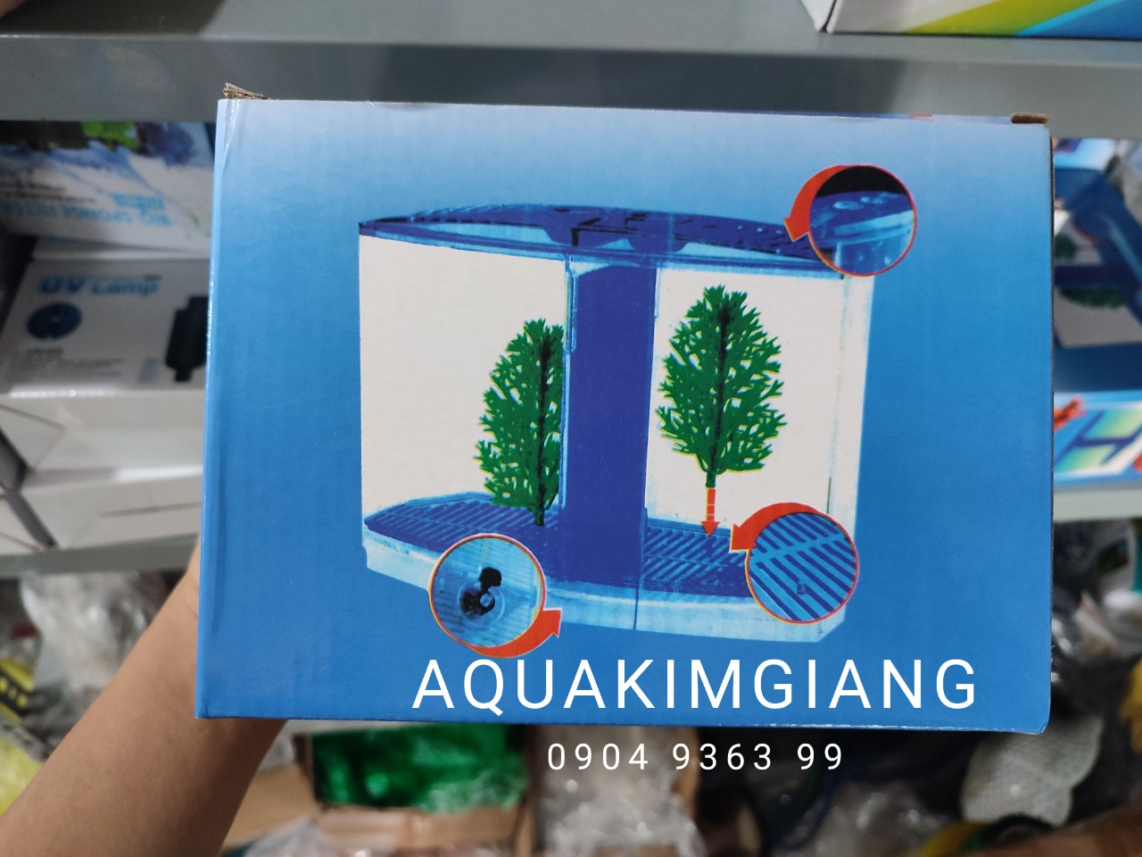 Bể cá Betta mini 2 ngăn CỰC ĐẸP