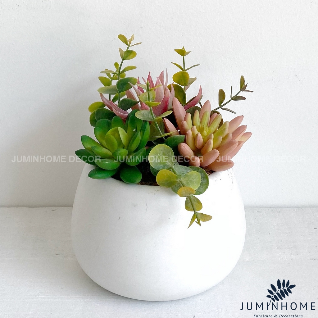 Cây giả Decor - Chậu sen đá hạt dẻ mini Decor trang trí để bàn