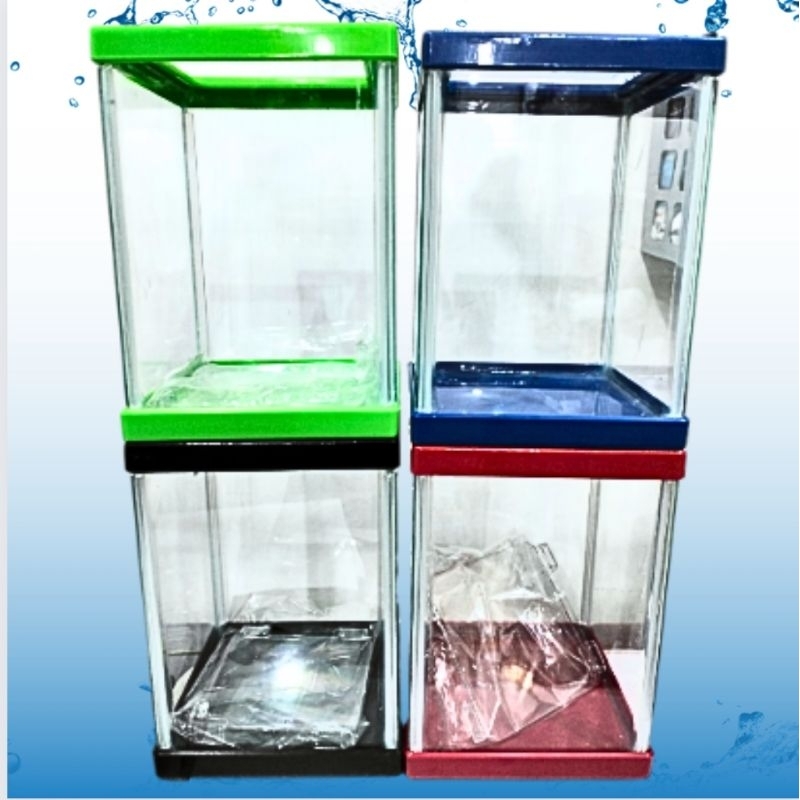 Aquarium Cupang channa NIKITA STAR BETTA SIZE 135 X 135 X 190 MM