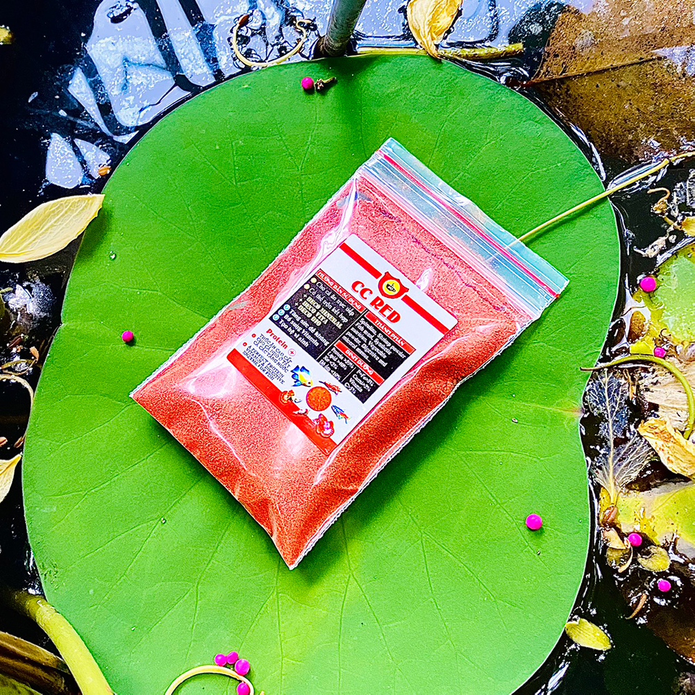 Thức ăn Cao Cấp dành cho 7 Màu và Betta | Cám CC Red