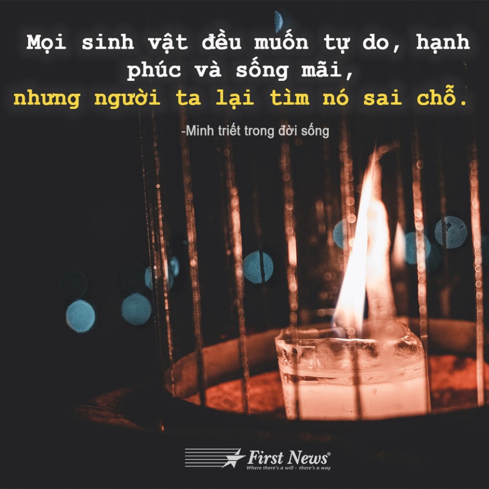 Minh Triết Trong Đời Sống ( FN )