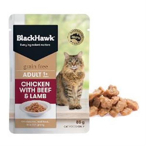 black hawk cat dry food