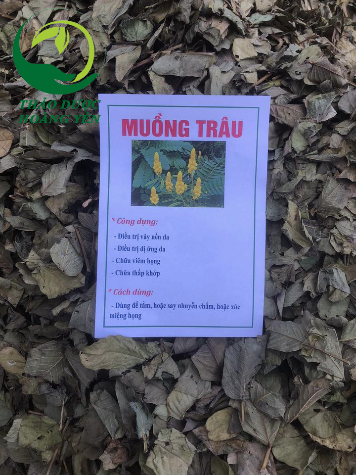 lá muồng trâu khô 1kg