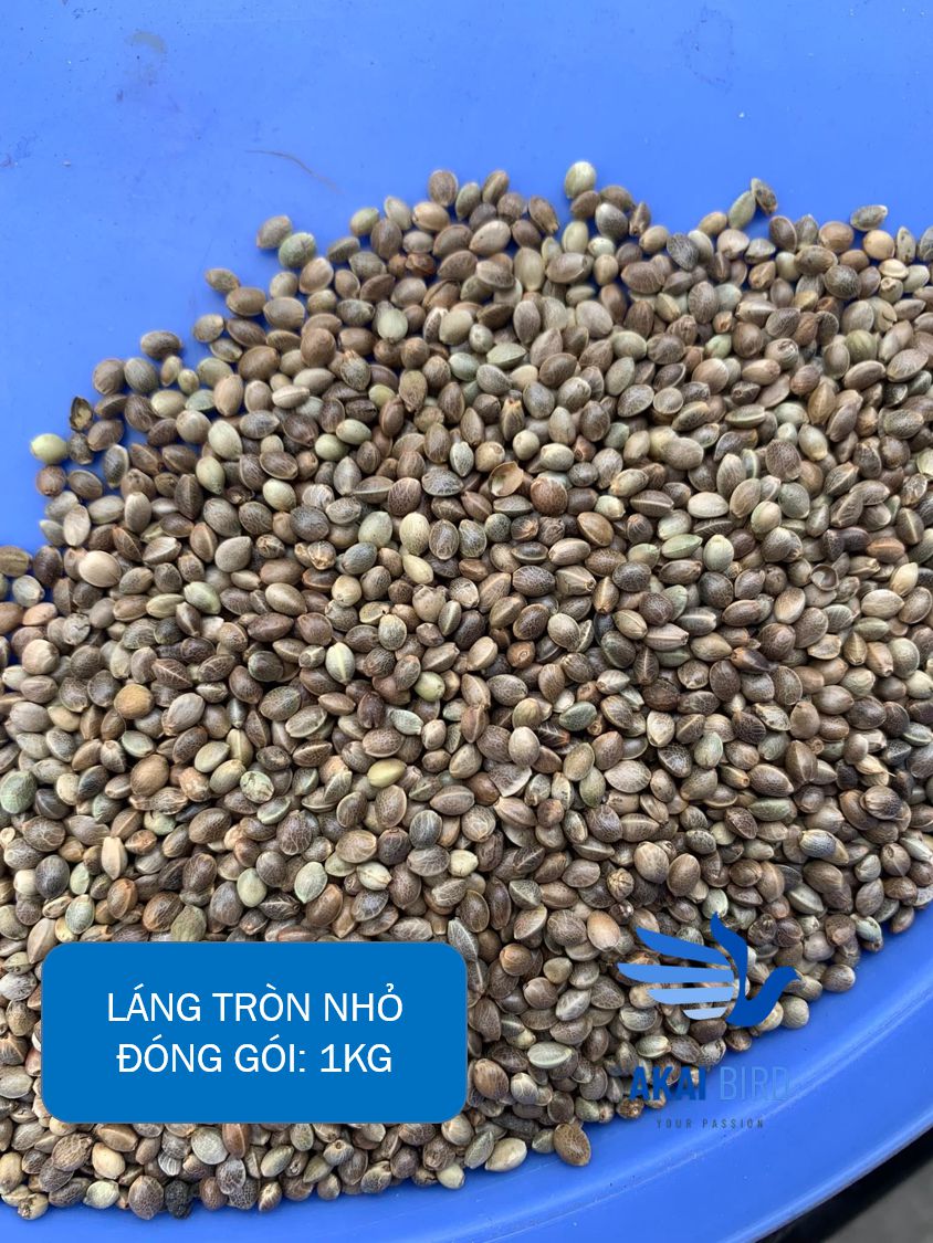 [1KG] Hạt Láng Tròn Dành Cho Vẹt, Hamster, Sóc, Chim Cảnh...