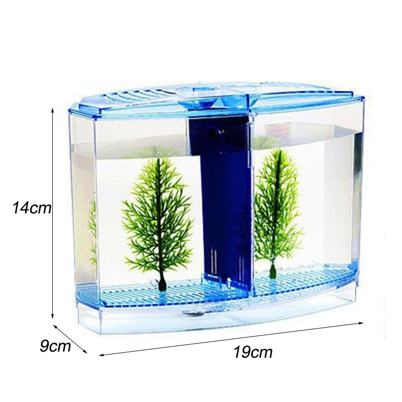 Fighter Fish Box Large Double Compartment Fighting Fish Box Fayshow | Daraz.com.np