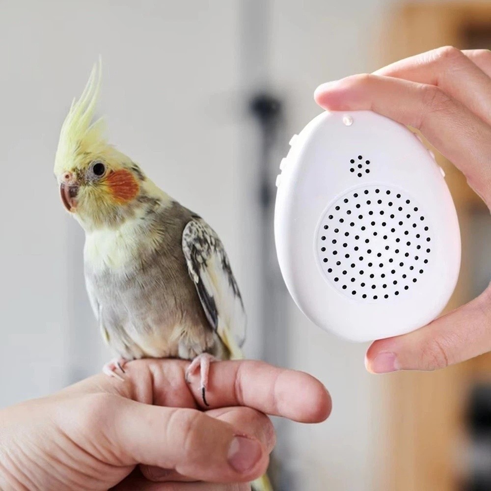 Interactive Parrot Computer Funny Recording Bird Learning Machine Playback Timer-Controlled Parrot ...