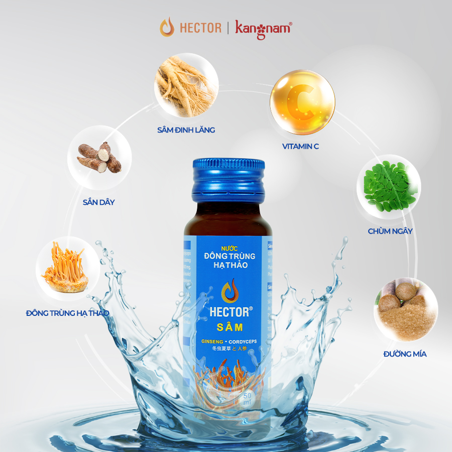 [HCM]Nước Đông Trùng Hạ Thảo Hector Sâm 50ml [Combo 2 Chai]