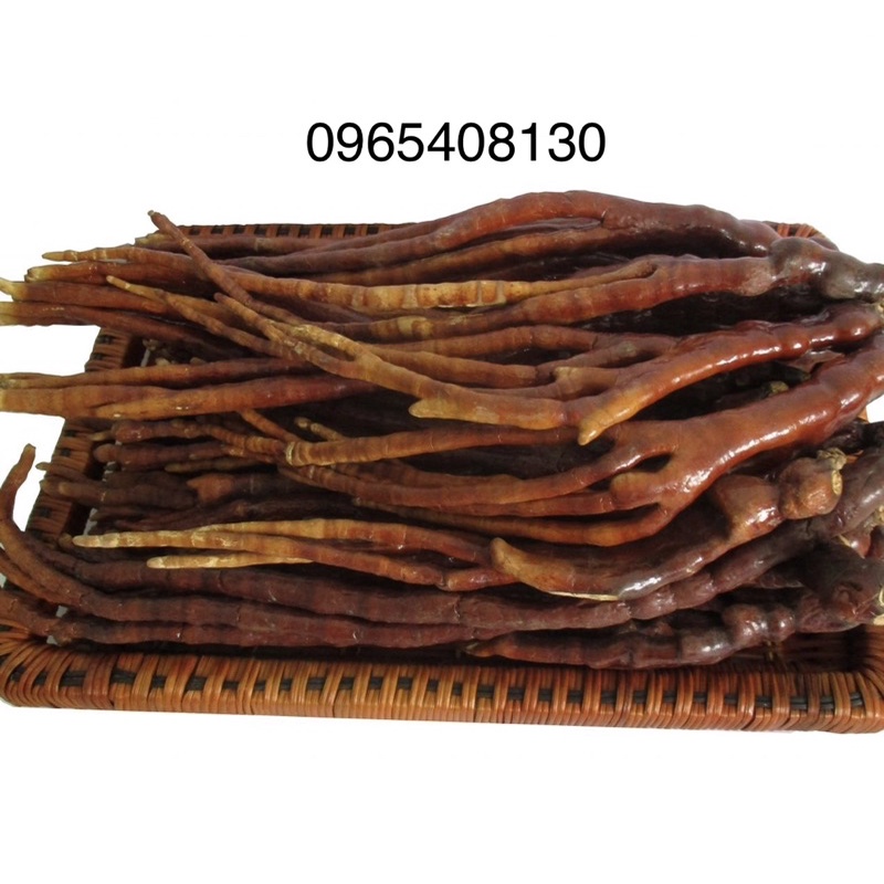 [Freeship] Nấm linh chi Sừng Hươu ( Đặc Sản Vùng Cao )
