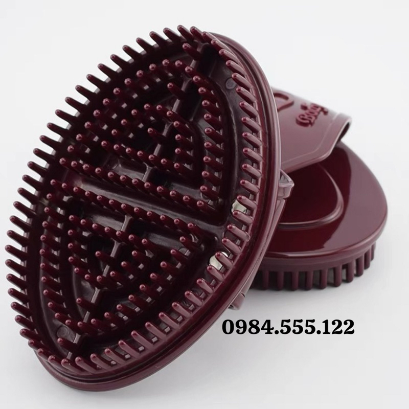 Bàn chải nâu lưu thông kinh lạc , combo2