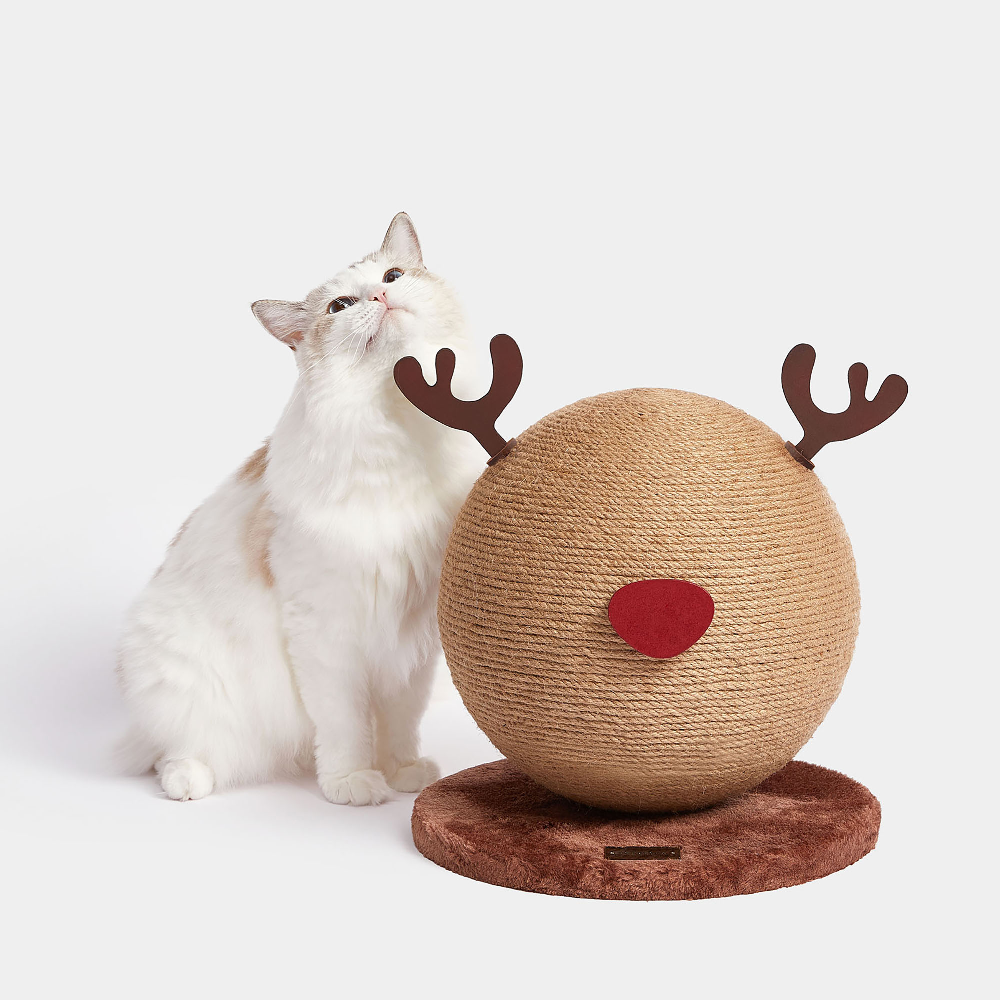 cat scratching ball toy