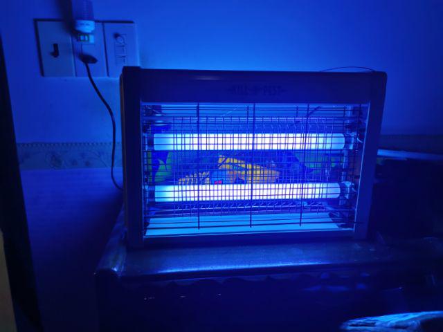 Đèn Bắt Muỗi Kill Pest LED 10W
