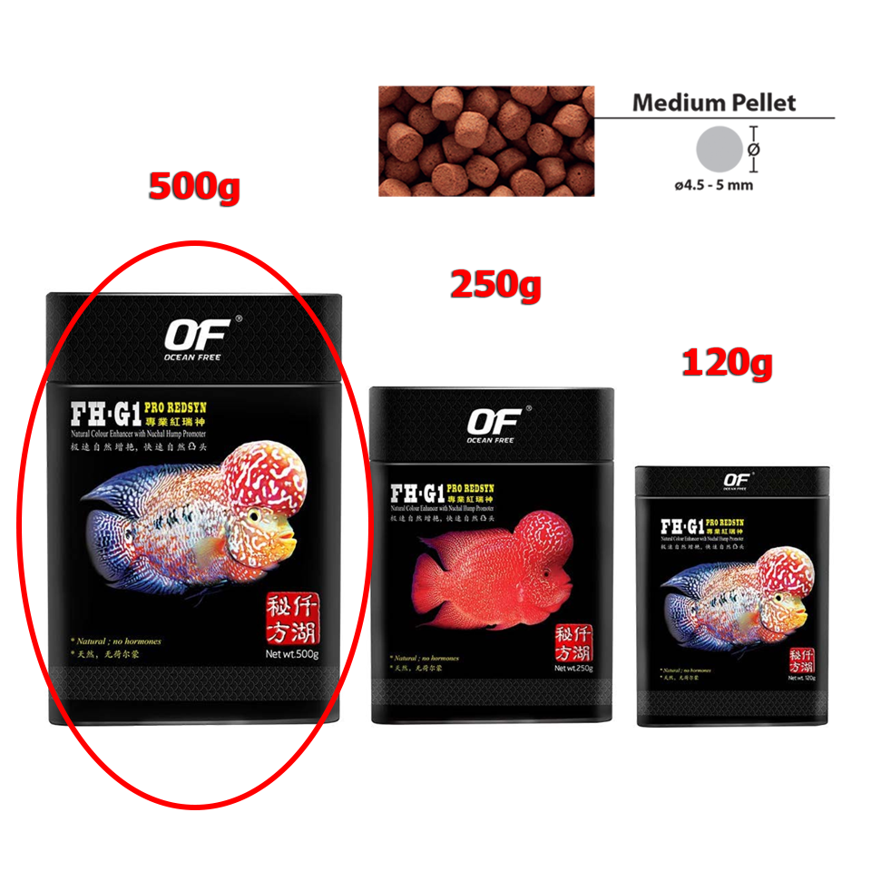FH-G1 Pro Redsyn thức ăn cao cấp lên màu cho Cá La Hán