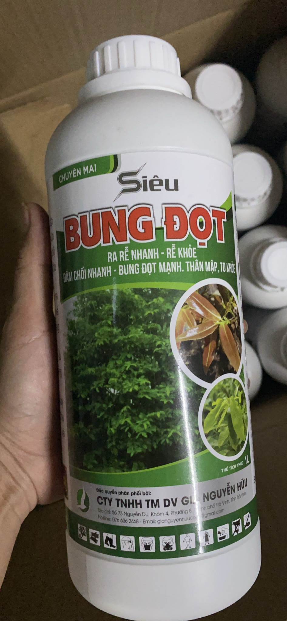 BUNG ĐỌT MAI VÀNG (SIÊU BUNG ĐỌT 1 LÍT)