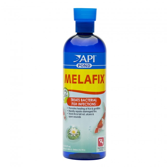 API POND PIMAFIX | Dung Dịch Hỗ Trợ Thối Vây, Lở Loét Ở Cá Cảnh