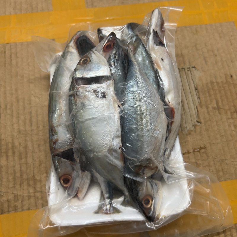 Cá bạc má đông lạnh - Khay 500Gr (Giao Tphcm)