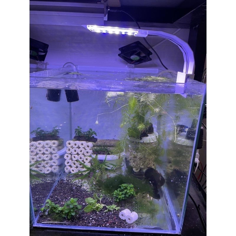 [HCM]Đèn Led kẹp Vipsun M-280 chuyên dùng cho hồ cá
