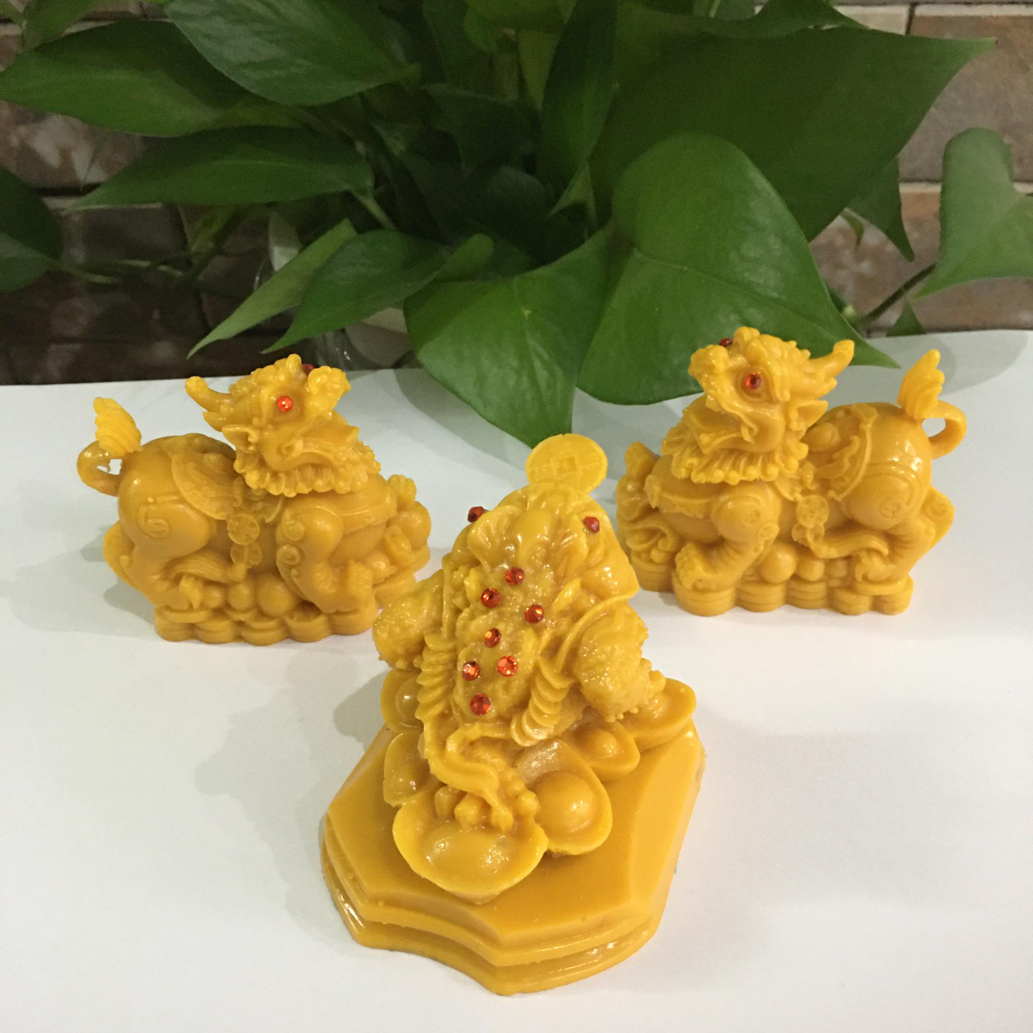 Combo cóc ngậm tiền và cặp tỳ hưu phong thủy màu vàng thu hút tài lộc và giữ tài lộc cho mọi người