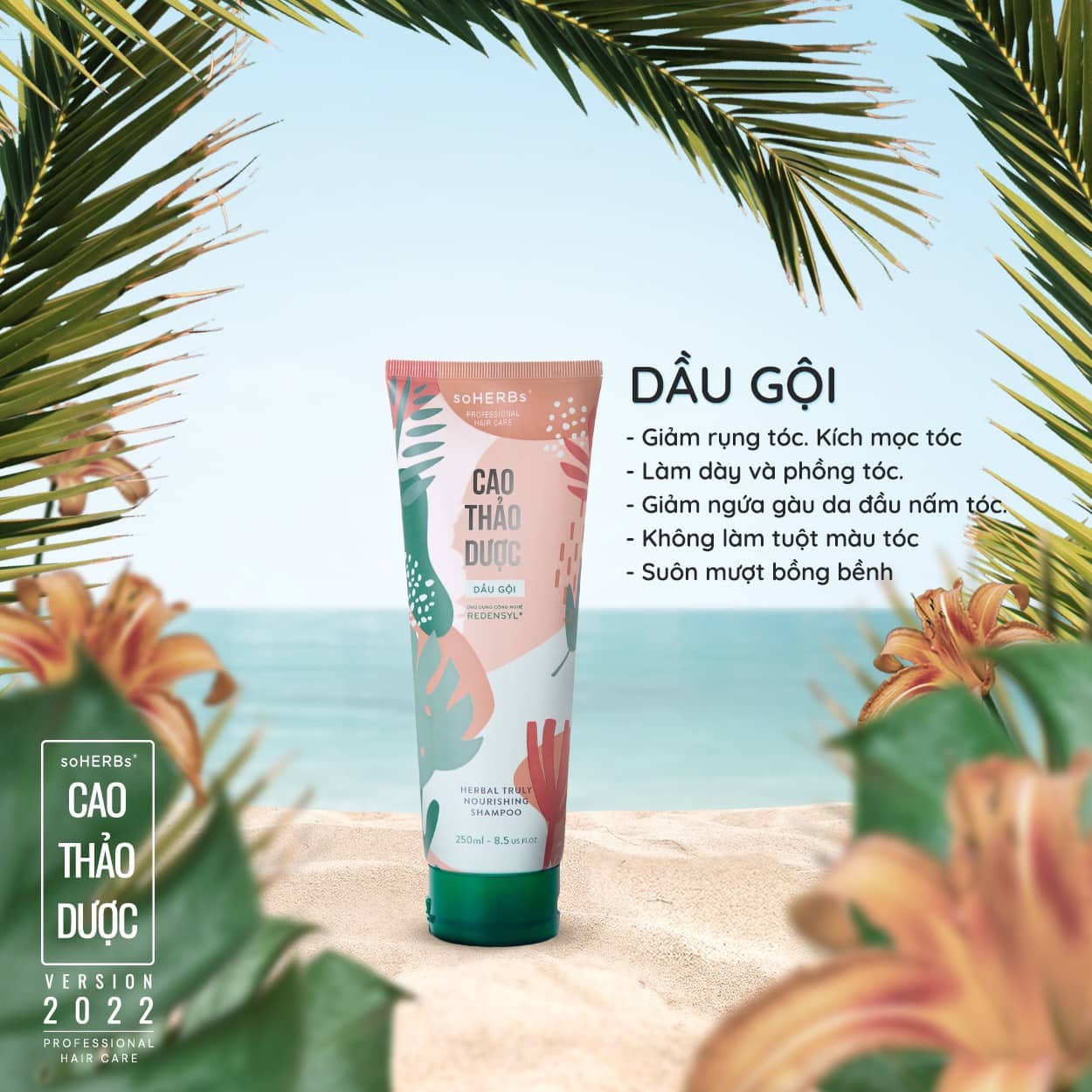 Dầu gội và dầu xả Cao Thảo Dược Soherbs