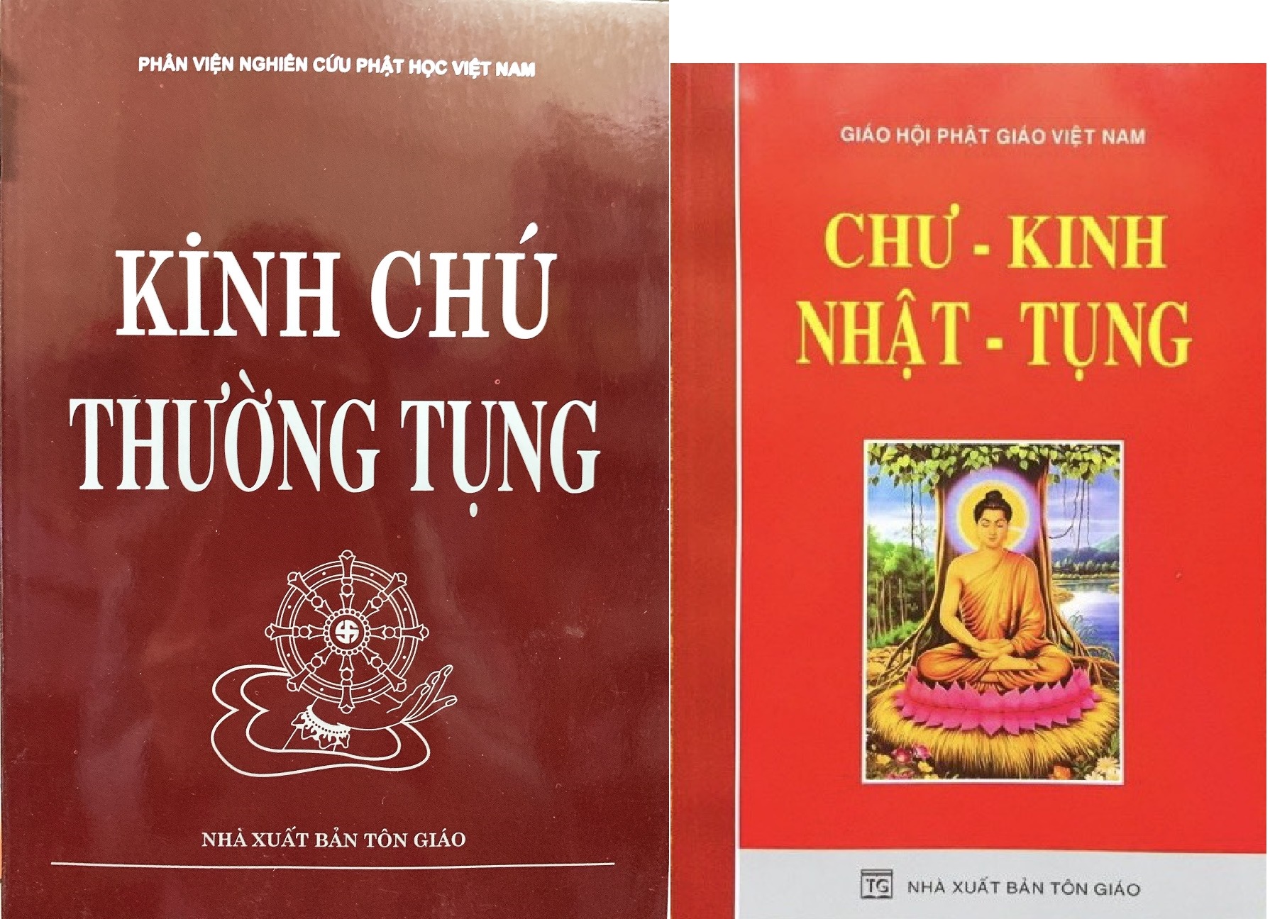 Sách - Combo Kinh chú thường tụng và Chư kinh nhật tụng