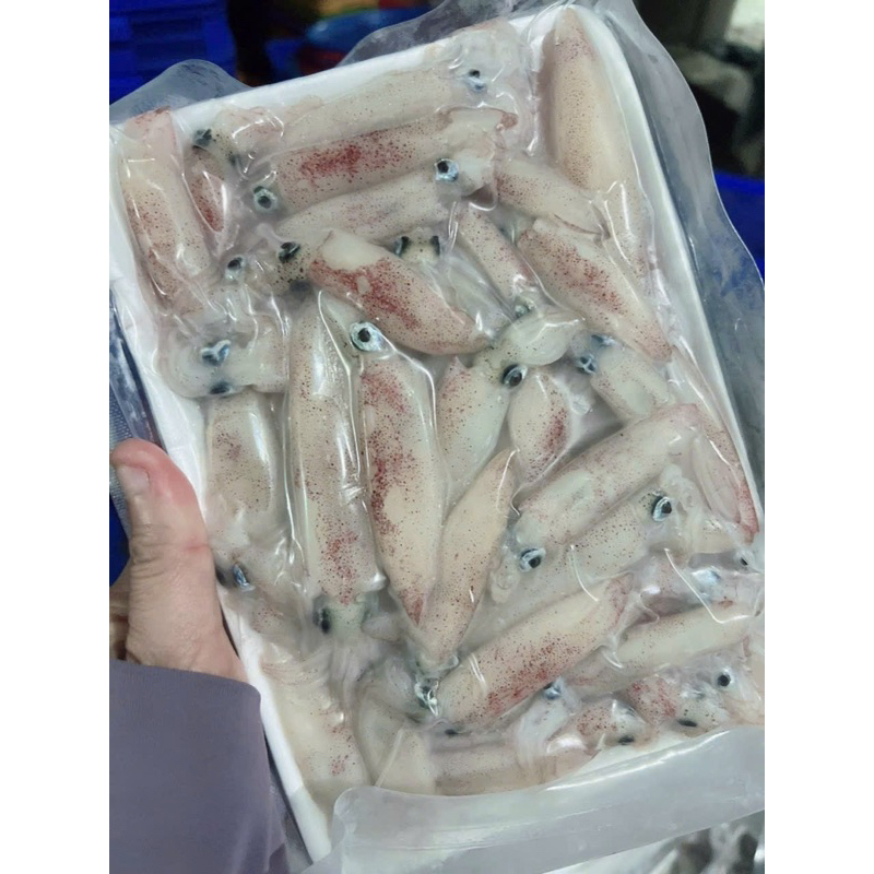 Mực sữa mini tươi ngon 1kg
