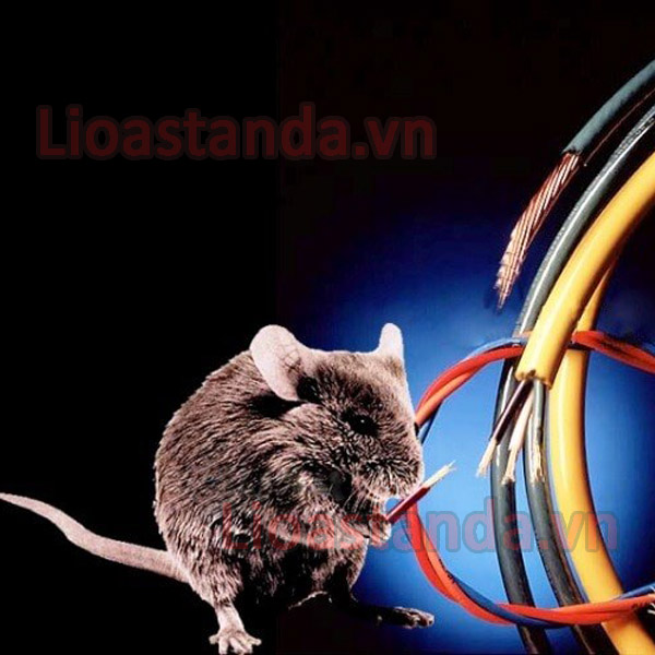 Chai xịt chống chuột cắn dây điện antopro 500ml - ảnh sản phẩm 2