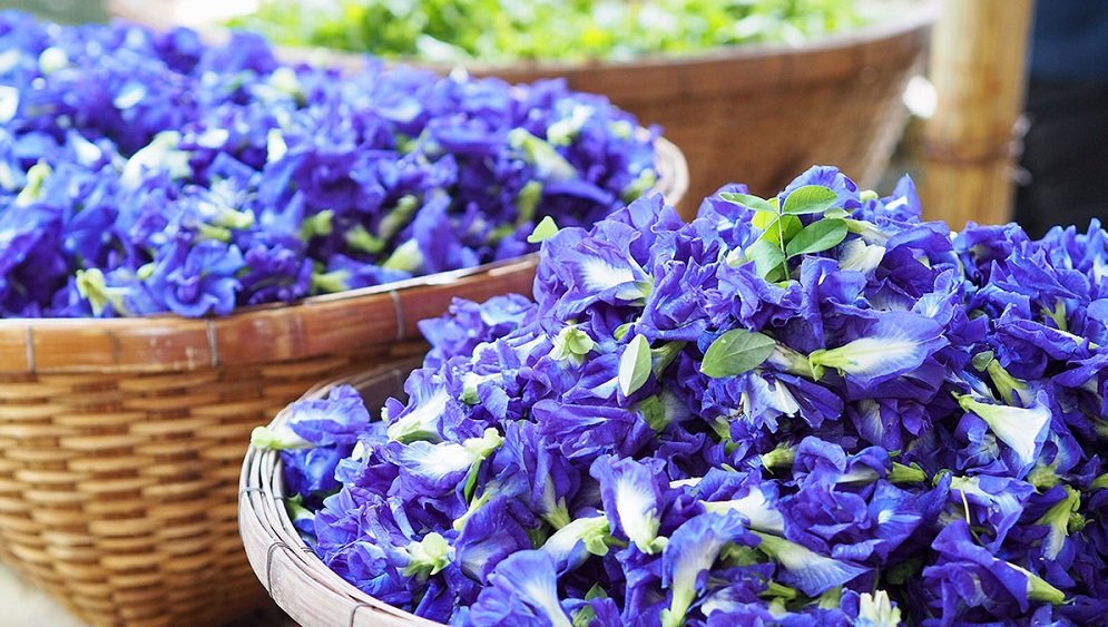 Hoa Đậu Biếc Sấy Khô