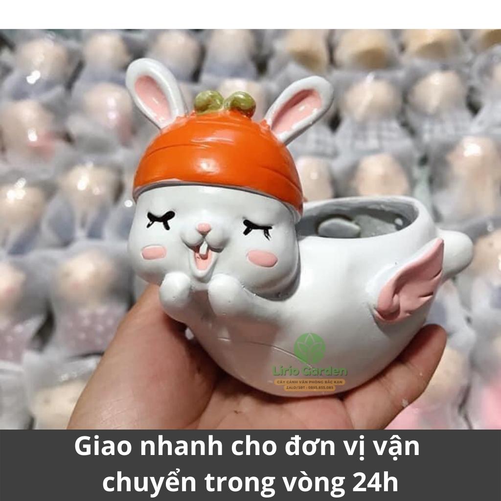 chậu trồng cây hình thỏ trắng có cánh [ tặng kèm đất trồng cây ]
