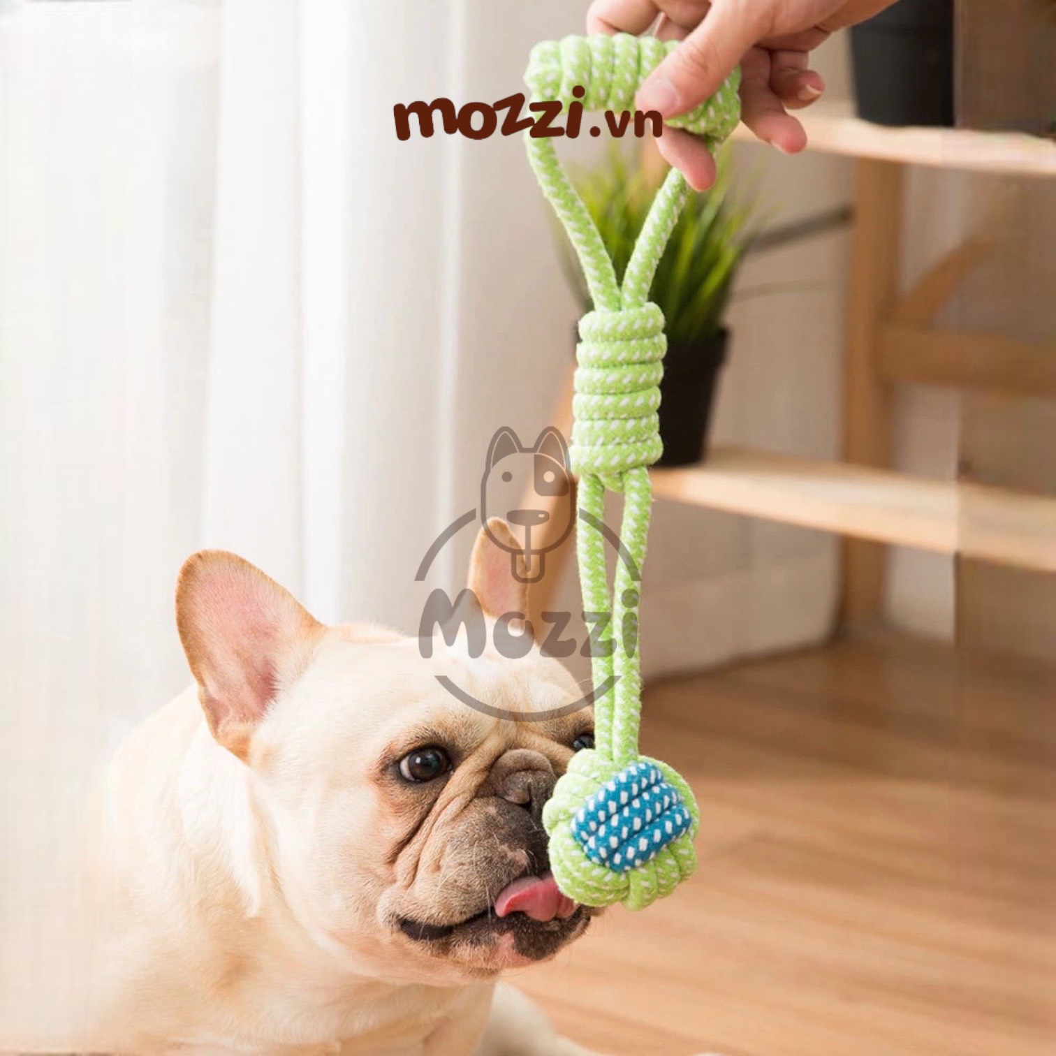 Đồ chơi dây thừng cotton bện màu xanh lá