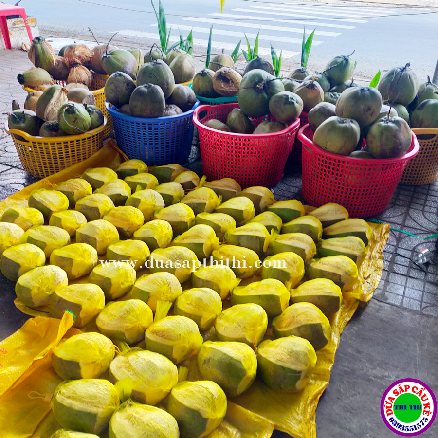 Dừa Sáp hượng Hạng Loại 1 - Size Lớn (Trái 1Kg-1.1Kg)