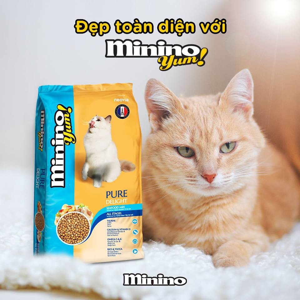 Thức ăn hạt khô cho mèo Minino 480g
