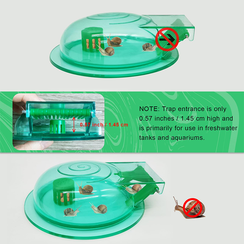 Aquarium%20Snail%20Trap,%20Plastic%20Snail%20Catcher%20For%20Freshwater%20Fish%20Tank%20Green%20Snail%20Catch%20Box%20QINGHE%20-%20Image%203