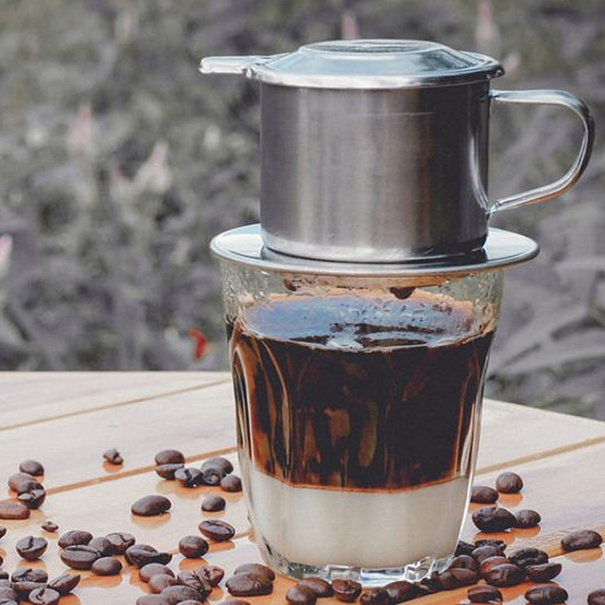 Cà phê phin mộc Robusta giống cũ (Lâm Hà, Lâm Đồng)