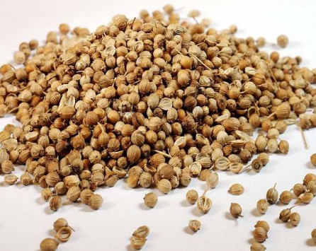 Hạt mùi ta (Hạt ngò) 100g - Aminoshi