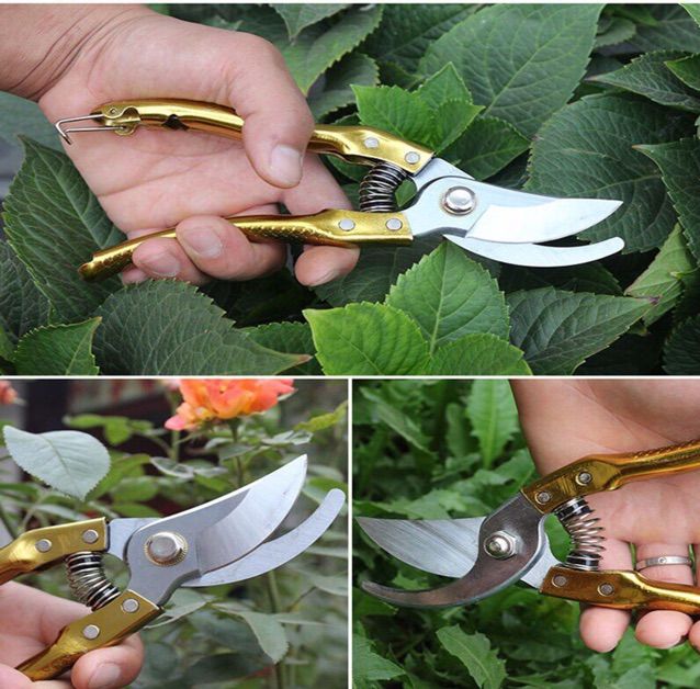 Kéo Cắt Cành Đồng Vảy Cá top
