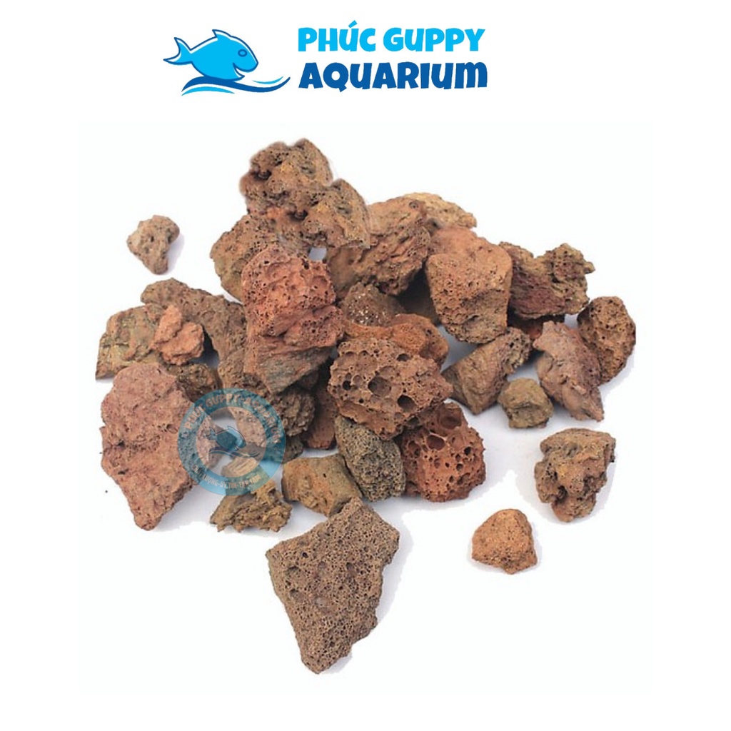 [100g] Đá Nham Thạch | Vật Liệu Lọc, Trang Trí Hồ Cá