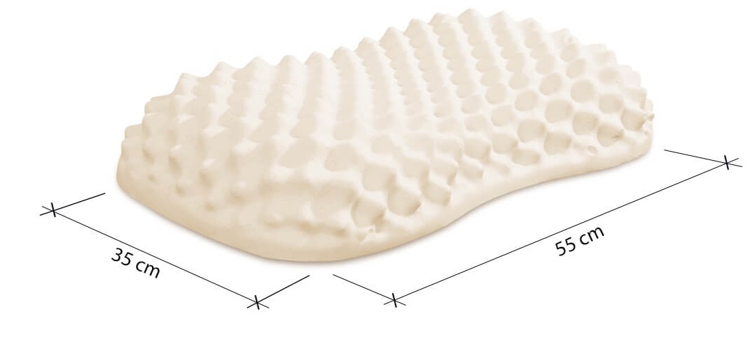 GỐI CAO SU CONVOLUTED PEANUT 35X55
