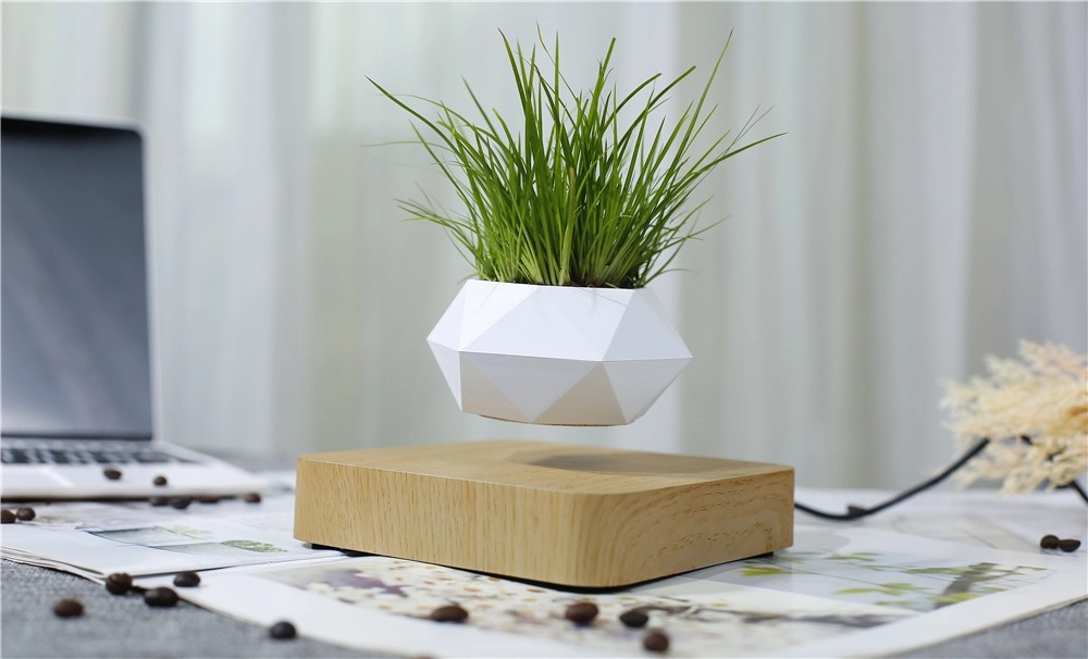 Chậu cây bay lơ lửng