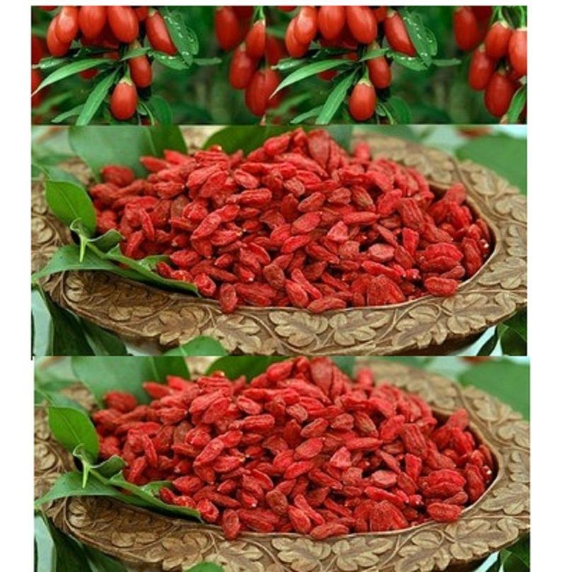 500g Quả Kỷ Tử sấy khô -  có tặng quà