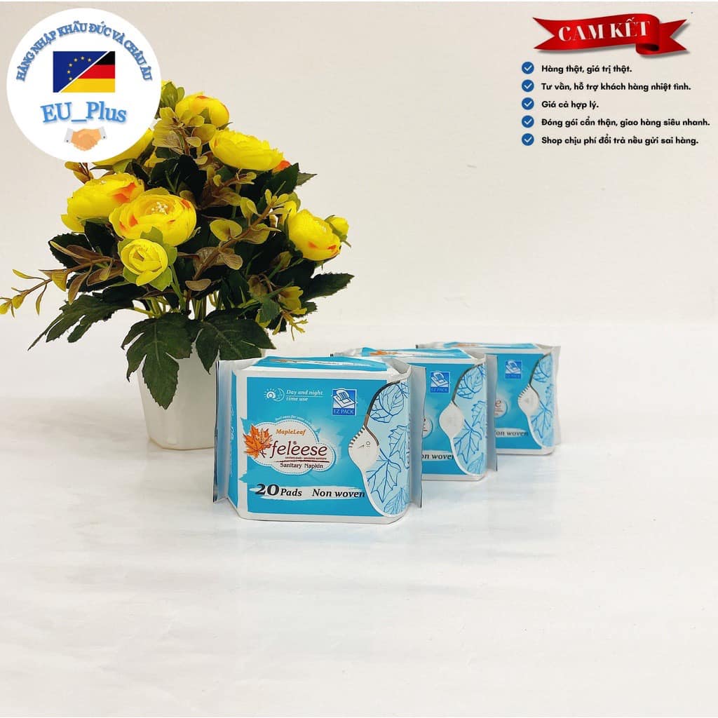 băng vệ sinh hàng ngày